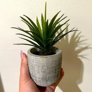 Faux succulent in concrete pot